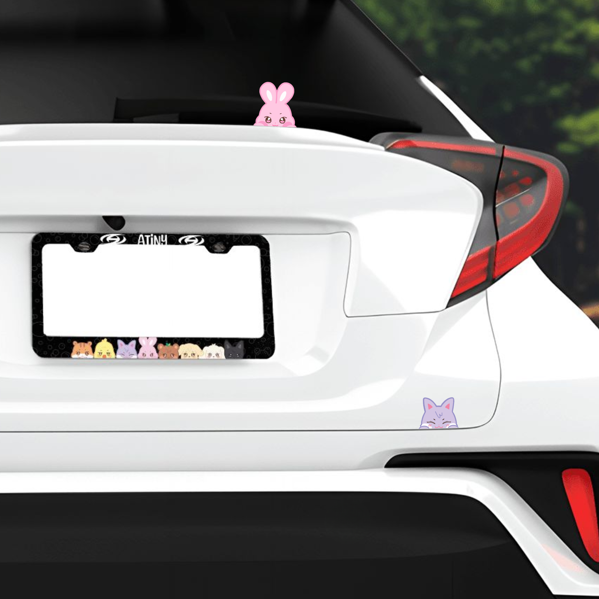 Aniteez & Mighteez License Plate Frames