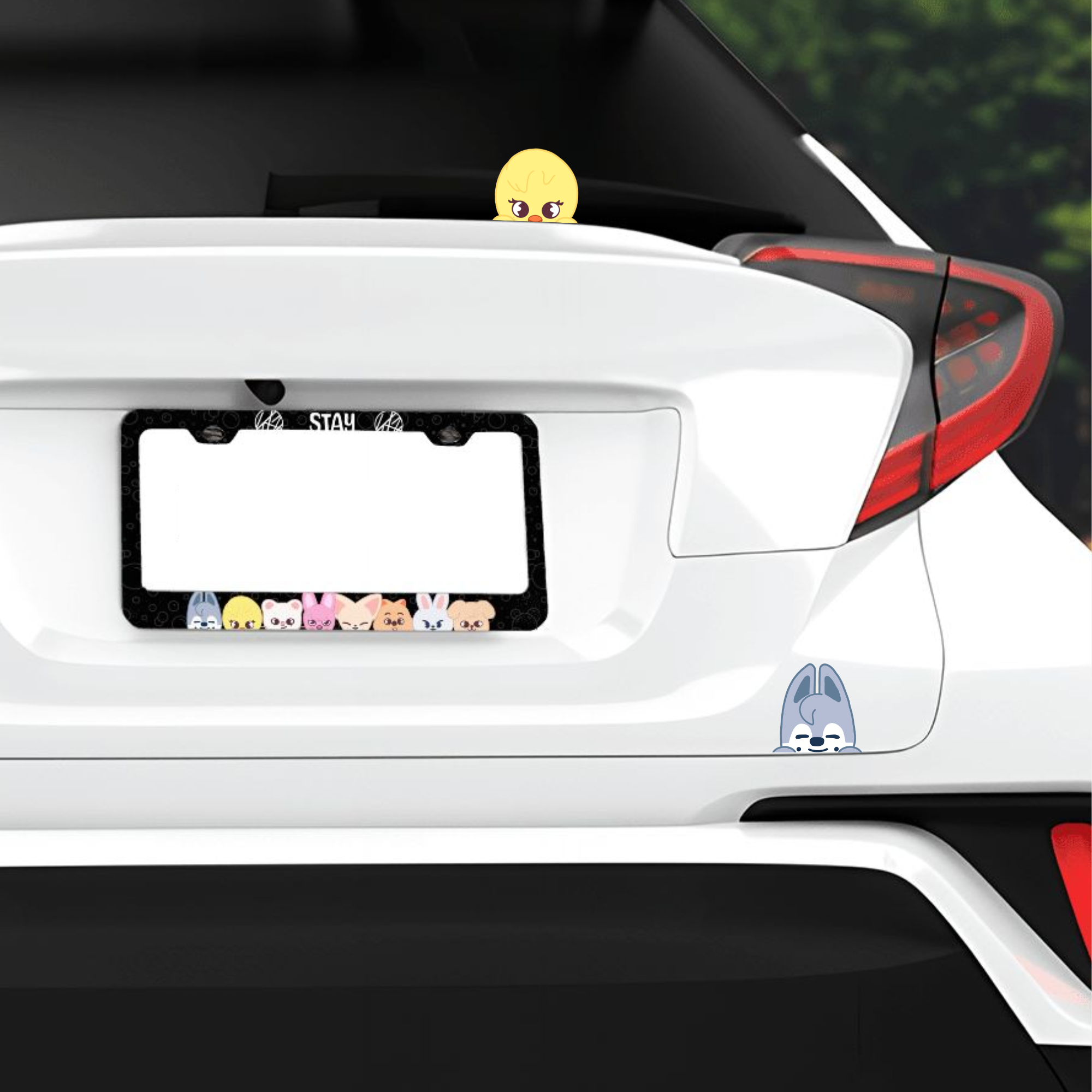 SKZOO License Plate Frame