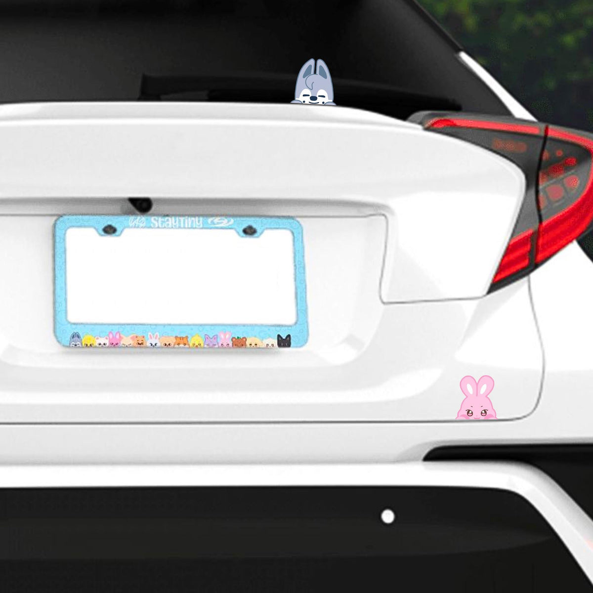 StayTiny License Plate Frames